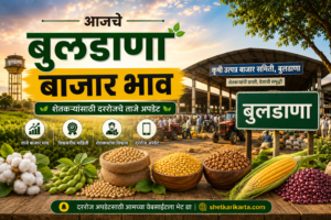 आजचे बुलडाणा बाजार भाव