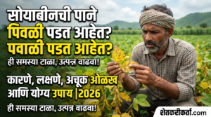 भाग ०१ : सोयाबीनची पाने पिवळी पडत आहेत? कारणे, लक्षणे, अचूक ओळख आणि योग्य उपाय | 2026 संपूर्ण मार्गदर्शक …