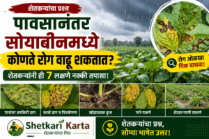 🌧️ पावसानंतर सोयाबीनमध्ये कोणते रोग वाढू शकतात? शेतकऱ्यांनी ही 7 लक्षणे नक्की तपासा..